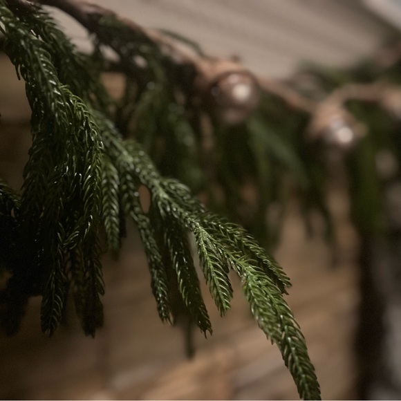 Kirkland Signature Holiday Norfolk Pine Garland 5ft Strand Poshmark